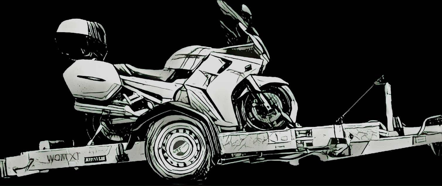 Stema wom xt - 1300kg 250/150cm MOTOR